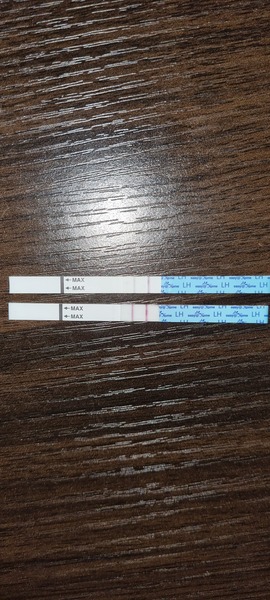 Would you say this is positive?