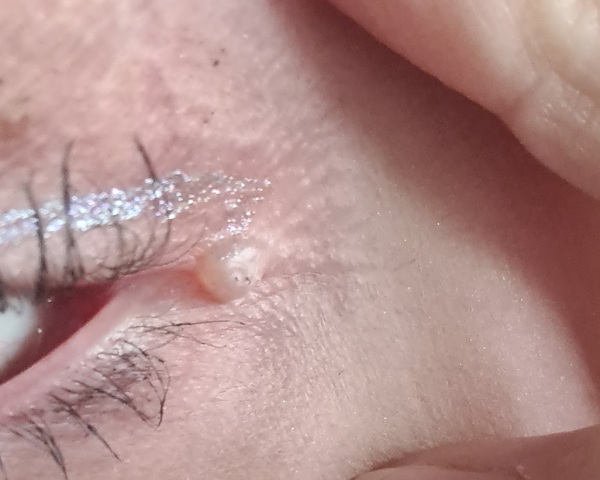 Does anyone know what this is?