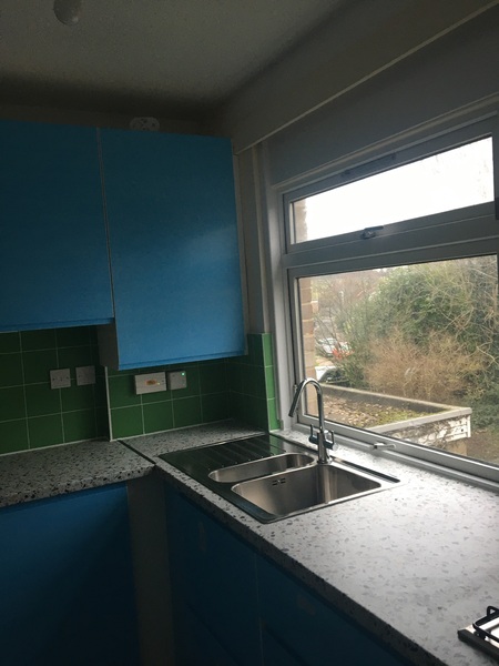 Extension Thread 2022....plaster, panic and pics