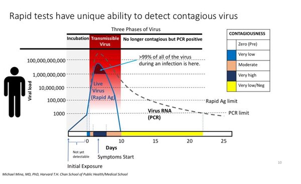 Government set to announce those with positive LFT will not need PCR