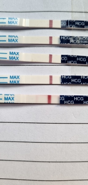 2WW. AF due 7/1
