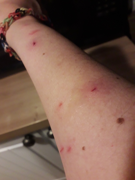 My cat is an arsehole today because...