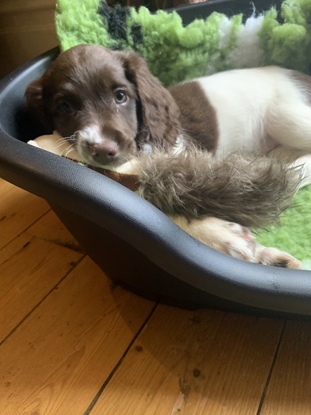 2022: Run, walk, cycle, swim, etc 1000 km/miles or whatever!