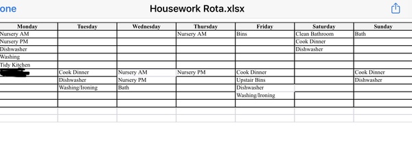 Aibu to be upset by my DH’s rota