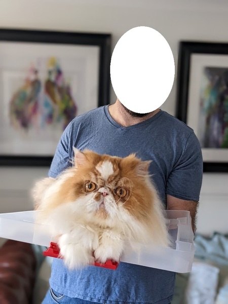 Can we have a ‘I love my beautiful cats’ thread?!