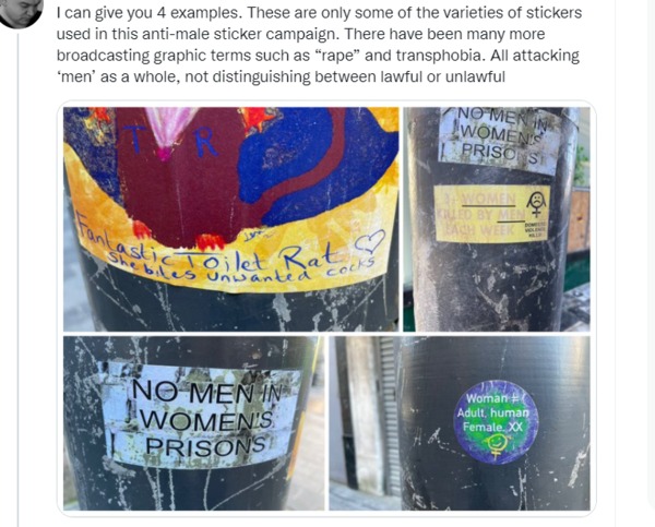 Jennifer Swayne arrested for stickering.