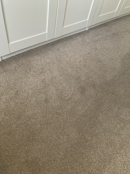 Doing up to sell the house, cream carpets bad idea?