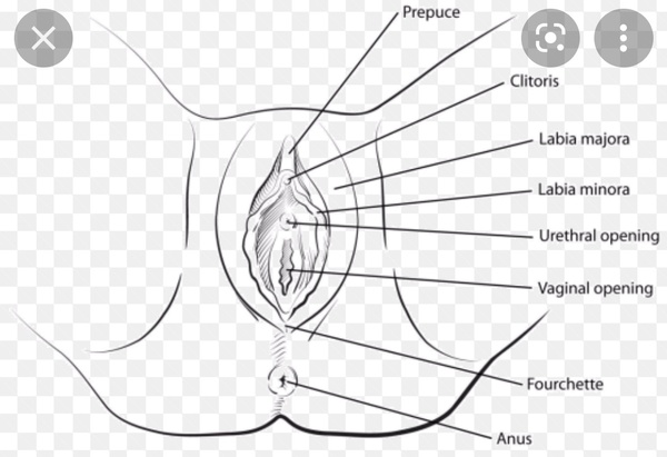 Please recommend the best HRT for me.