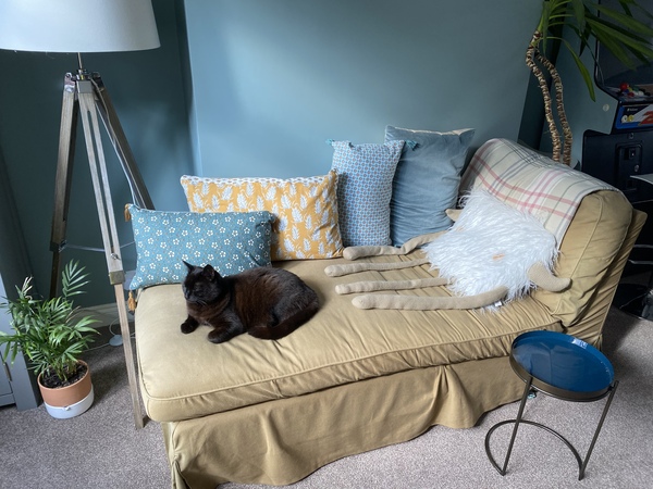 Sofa cushions