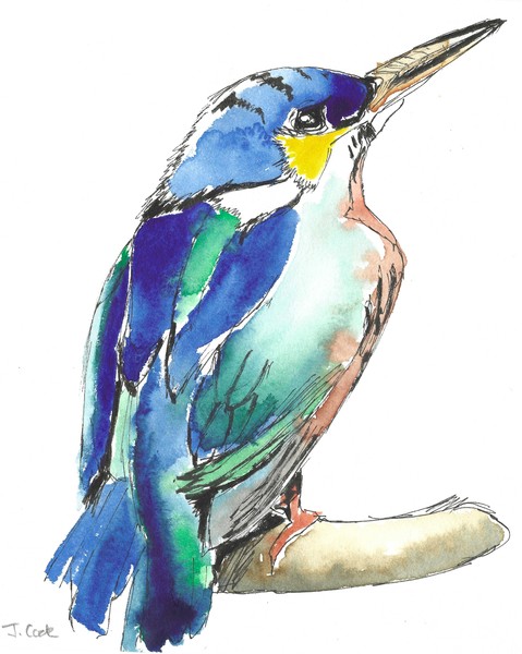 Request for constructive feedback on these watercolours please!