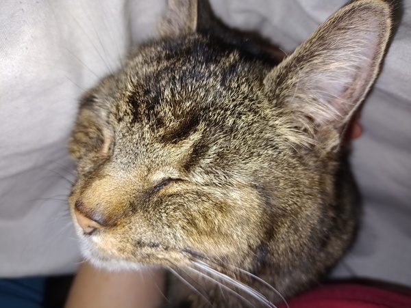 To ask what you’re doing awake post-midnight?