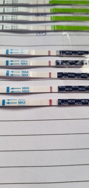 Ovulation Day Who's With Me?