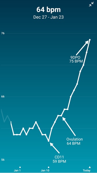 Tracking your cycle and possible BFP using RHR - part 6