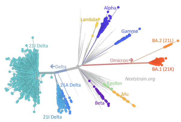 Is the pandemic over for good?