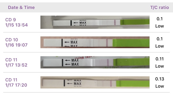 Ovulation testing!!!