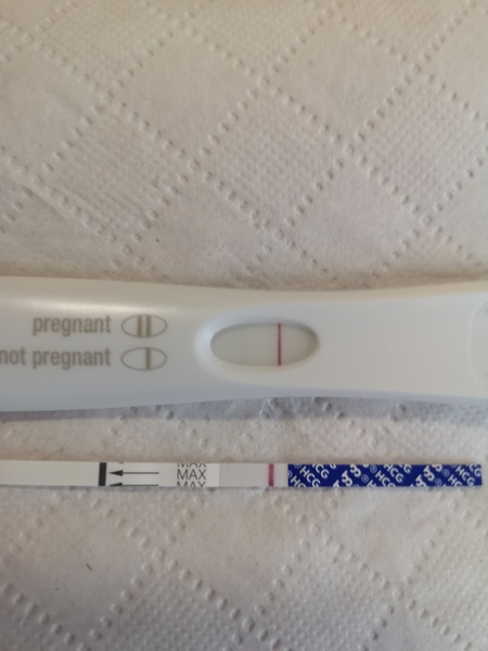 ✨ CD10 ttc after loss 🌈 who's with me for the new year?