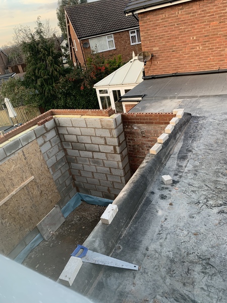 Extension Thread 2022....plaster, panic and pics