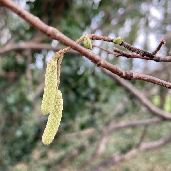 Nature Notes: the 2022 edition