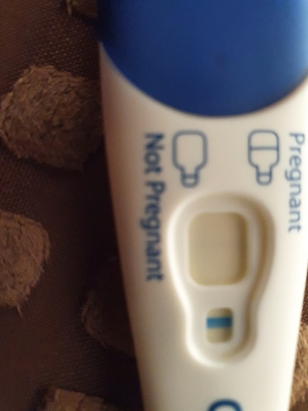 Can you see this....?