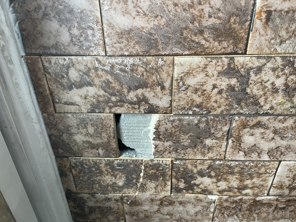 Building surveyor damaged property