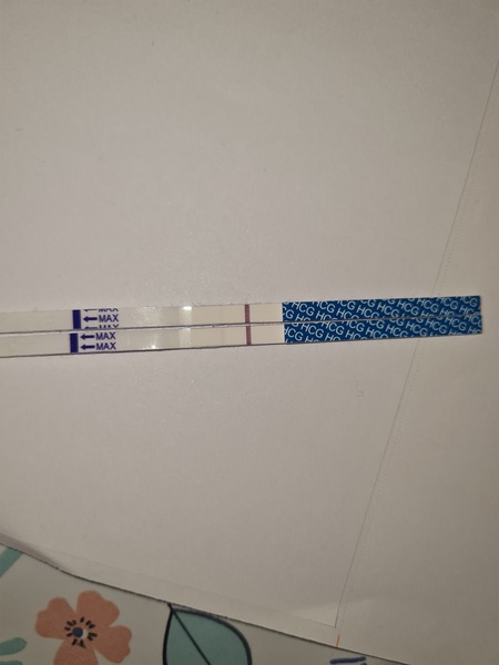 I think I see a line..? Still ebf lots ..