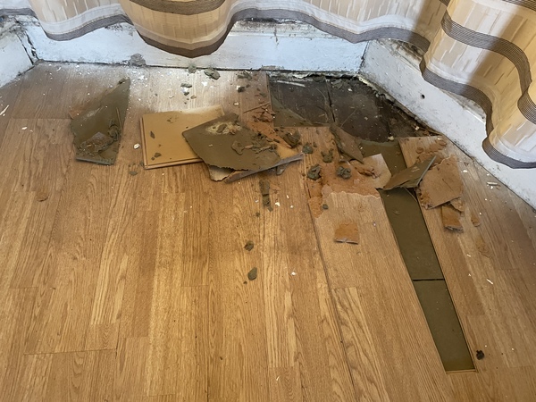 Building surveyor damaged property