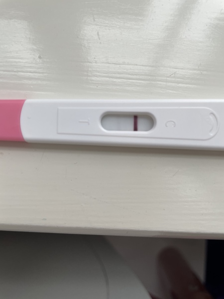 Due September 2022 - Thread #2