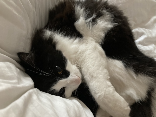 I can’t get up can I?