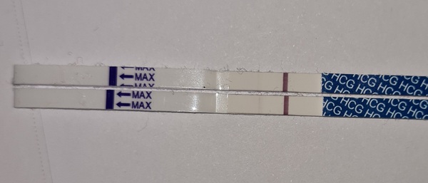 6DPO Who's with me?