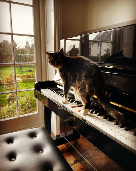 Can we have a ‘I love my beautiful cats’ thread?!