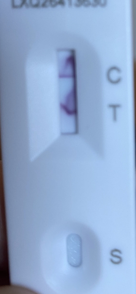 Does this LFT look positive?