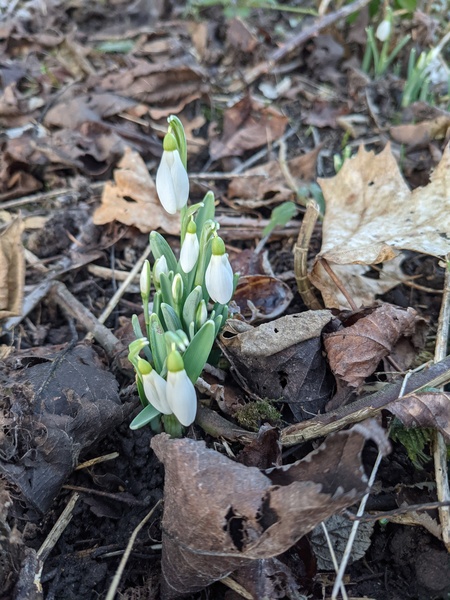 Nature Notes: the 2022 edition