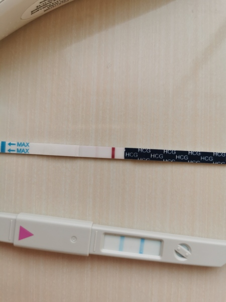 HELP!! Ovulation or pregnant?!?!