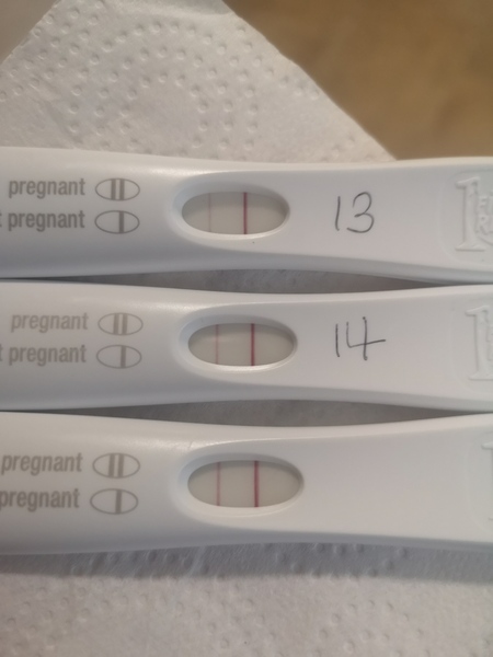 Ttc after miscarriage 🤞🌈✨ lucky thread 3!