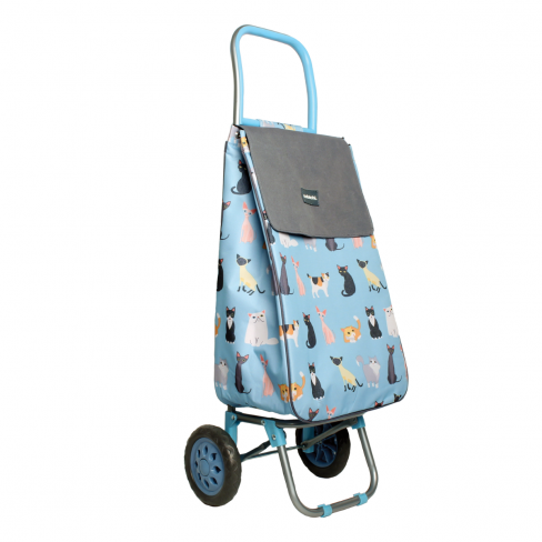 Aibu to be too embarrassed to get a shopping trolley.