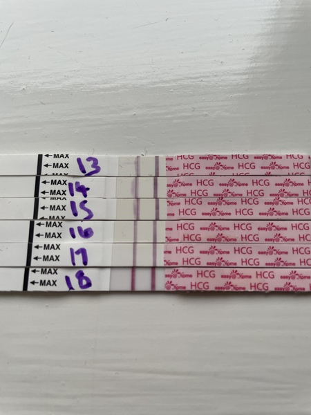 Due September 2022 - Thread #2