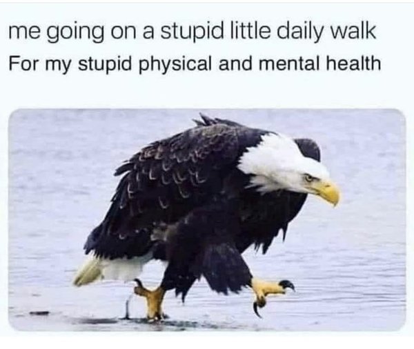 The Freedom Thread (Continued) - Enjoying the positives of an alcohol free life *Title edited by MNHQ*