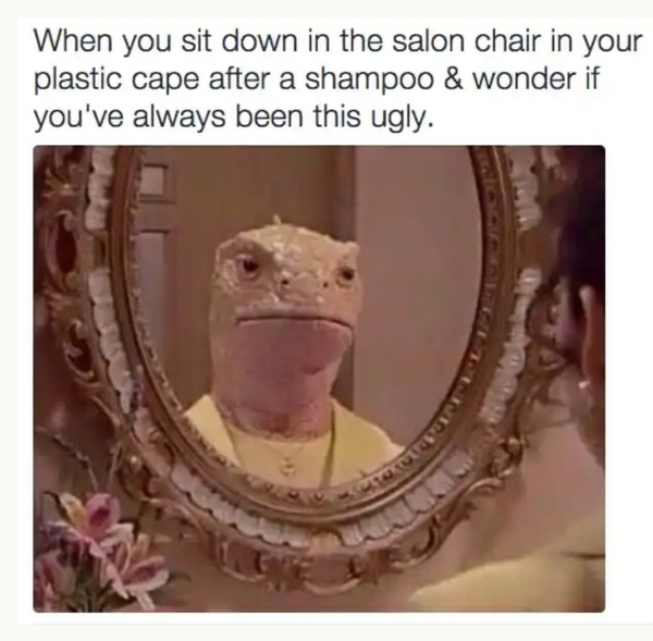 Anyone one else hate the way they look in the hairdresser's mirror?!?!
