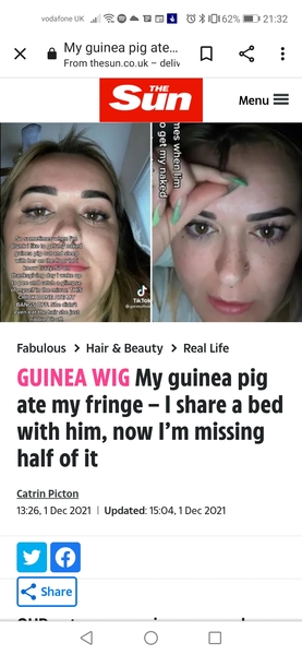 What a fat pig! [photo]