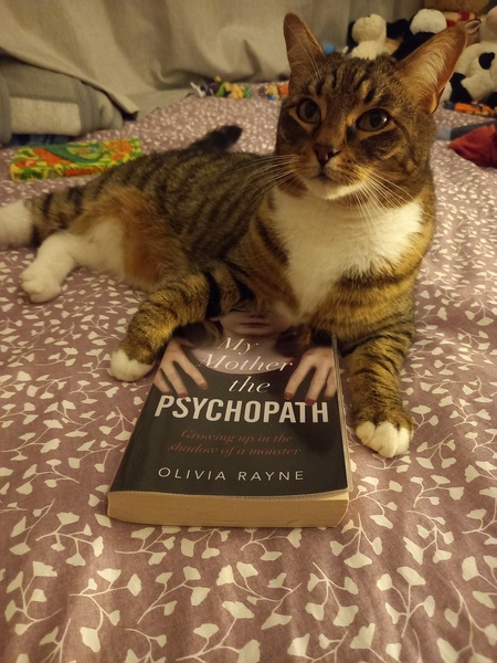 Can we have a ‘I love my beautiful cats’ thread?!