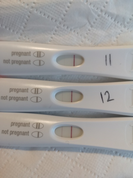 Ttc after miscarriage thread 2 ✨🌈🤞