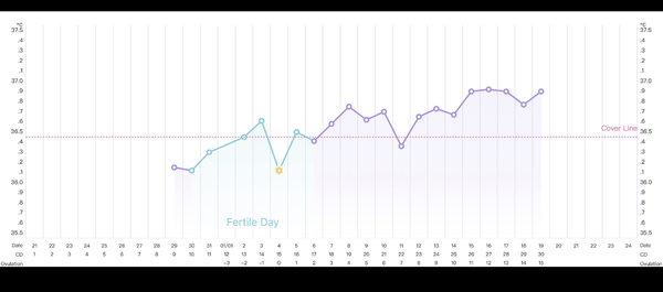 Understanding my bbt chart