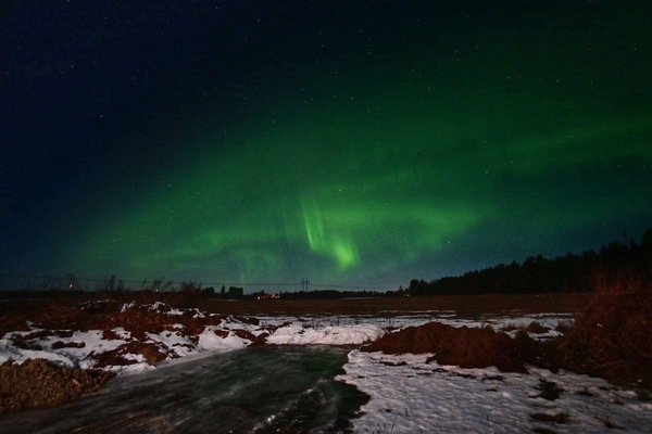 Swagger Inn 170. Autumn is here with a vengeance.  I think we'll just hide under the duvet --with HBFs-- until Spring.