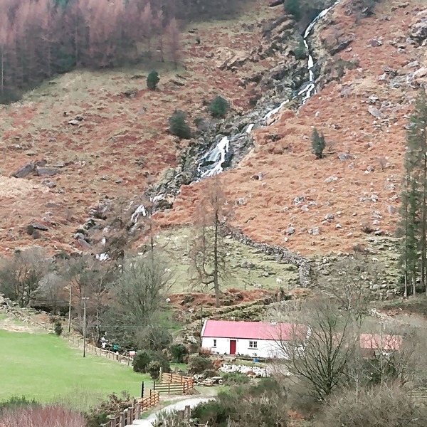 2022: Run, walk, cycle, swim, etc 1000 km/miles or whatever!