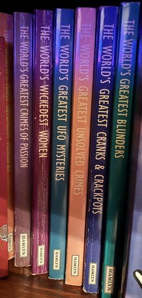 Does anyone remember this series of books?