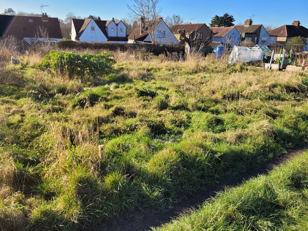 I've been offered an allotment!