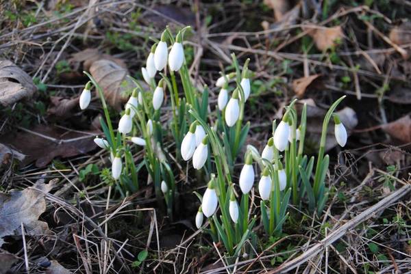 Any Witches Here? Part 16