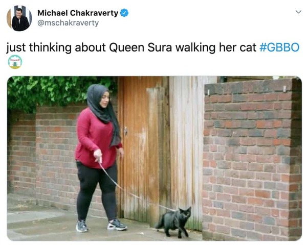 People walking their cats on leads - NO! AIBU?