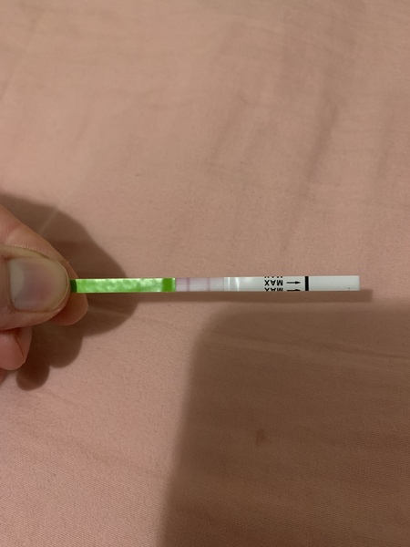 Ovulation testing!!!