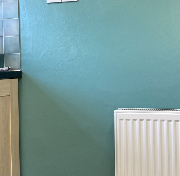 What do you think of this carpet / paint combi?
